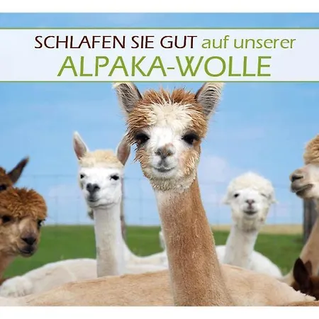 فندق Osswald Kirchheim am Ries