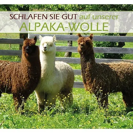 Osswald Kirchheim am Ries