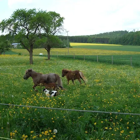 Osswald فندق Kirchheim am Ries