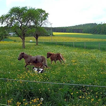 Osswald מלון Kirchheim am Ries