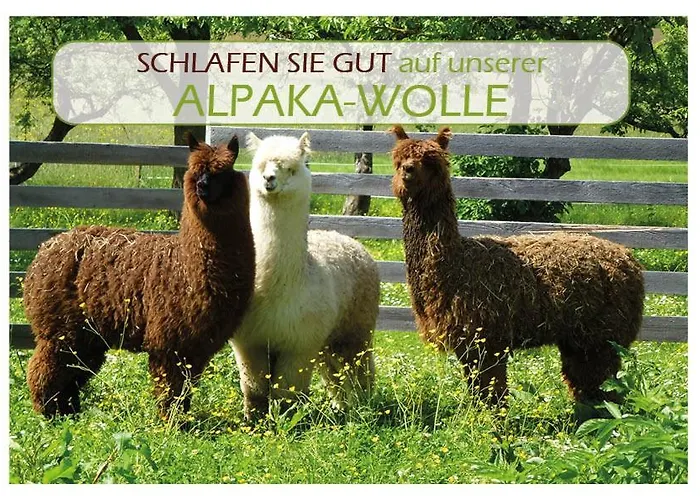 Osswald Kirchheim am Ries